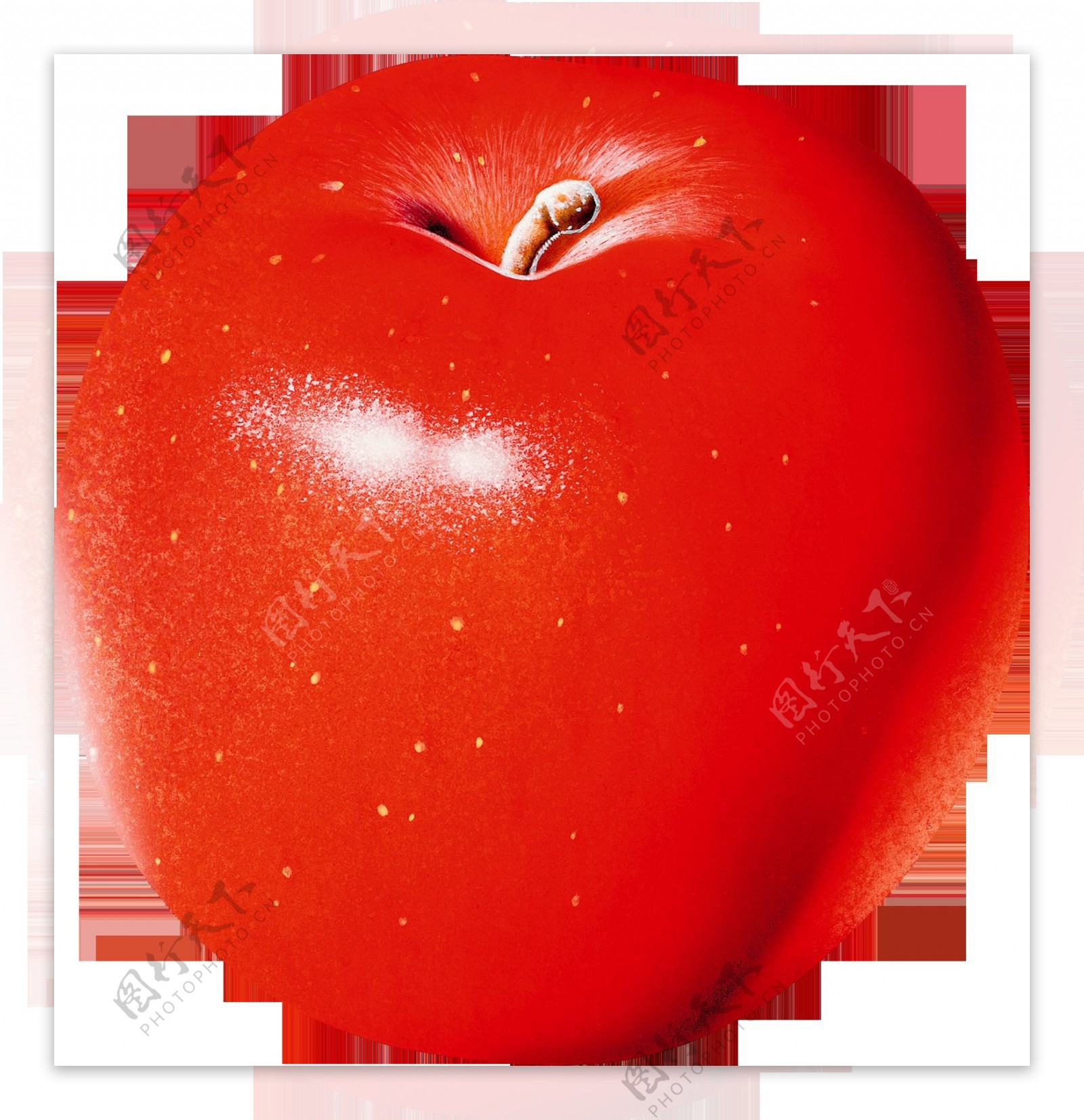 漂亮红色苹果图片免抠png透明图层素材