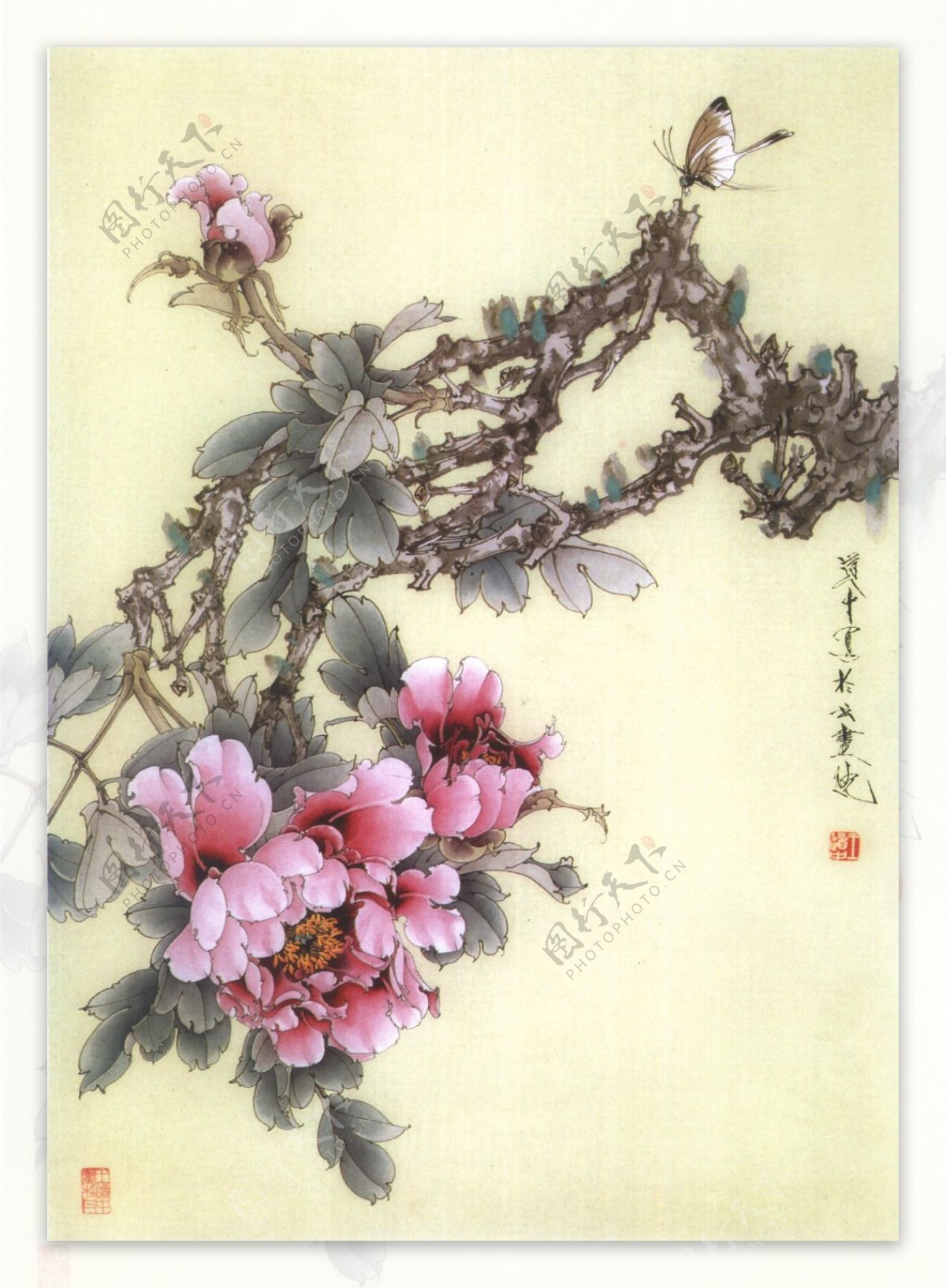 牡丹花卉装饰画