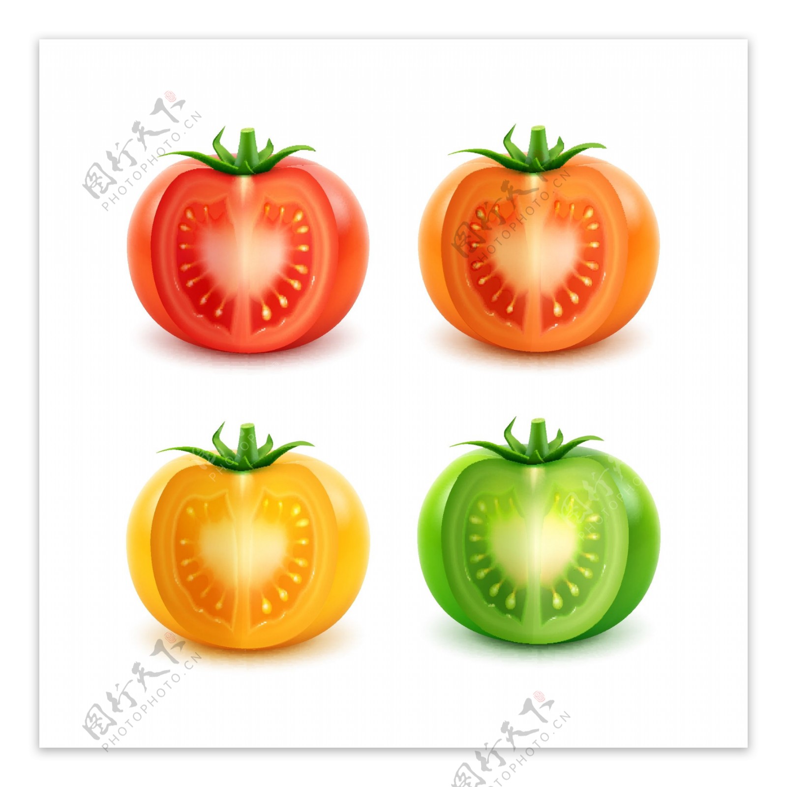 不同颜色的西红柿