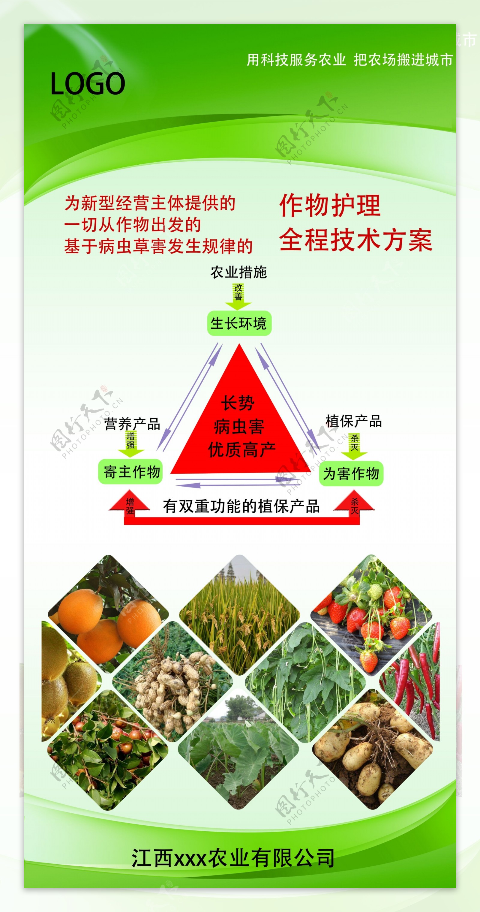 农作物护理海报