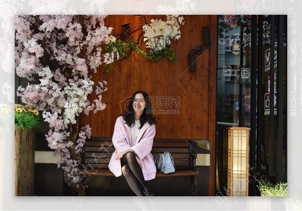 女性在粉红色的外套坐在布朗板凳近樱花