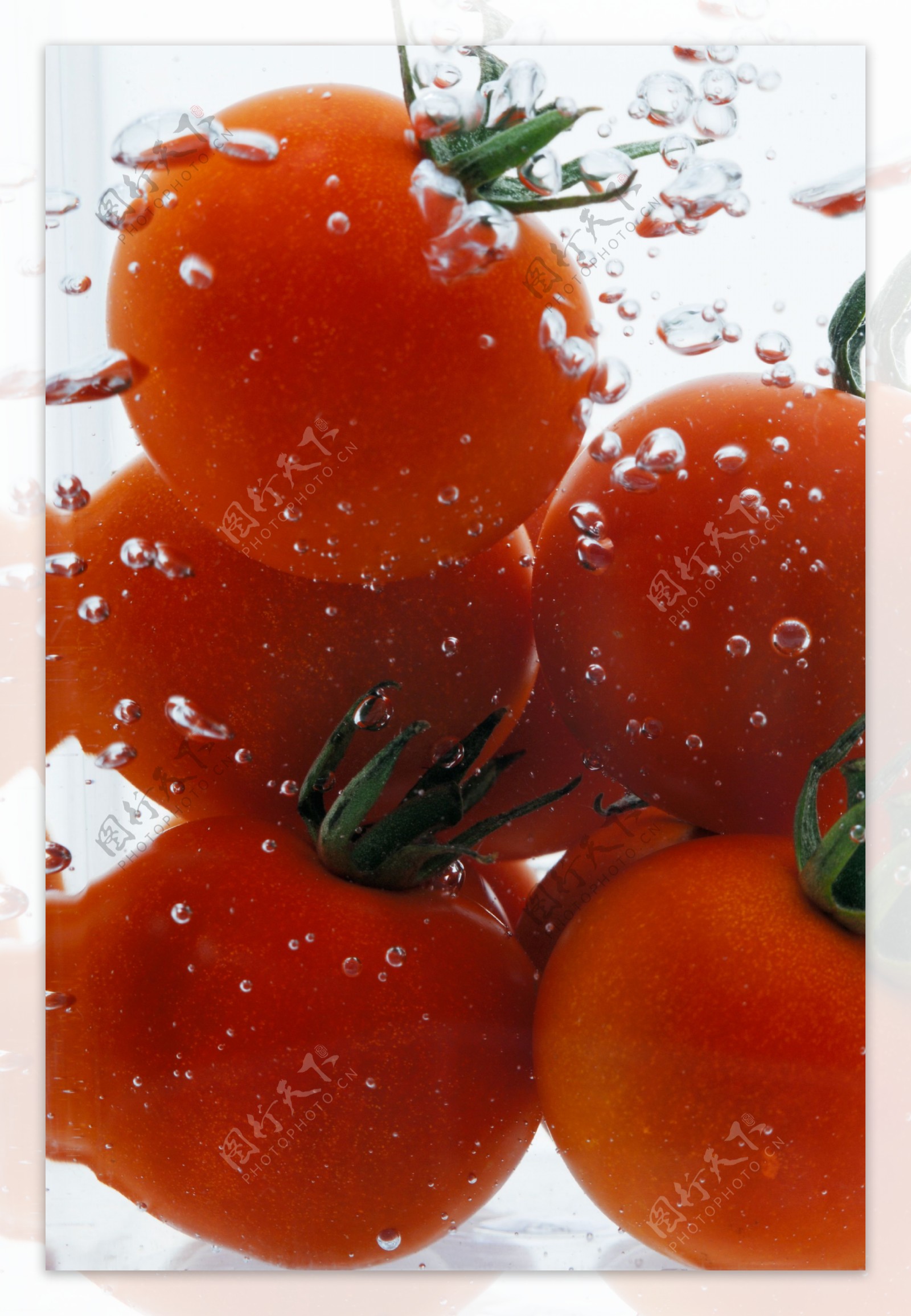 水里的西红柿特写图片