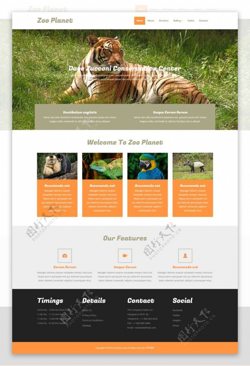 动物园网页素材