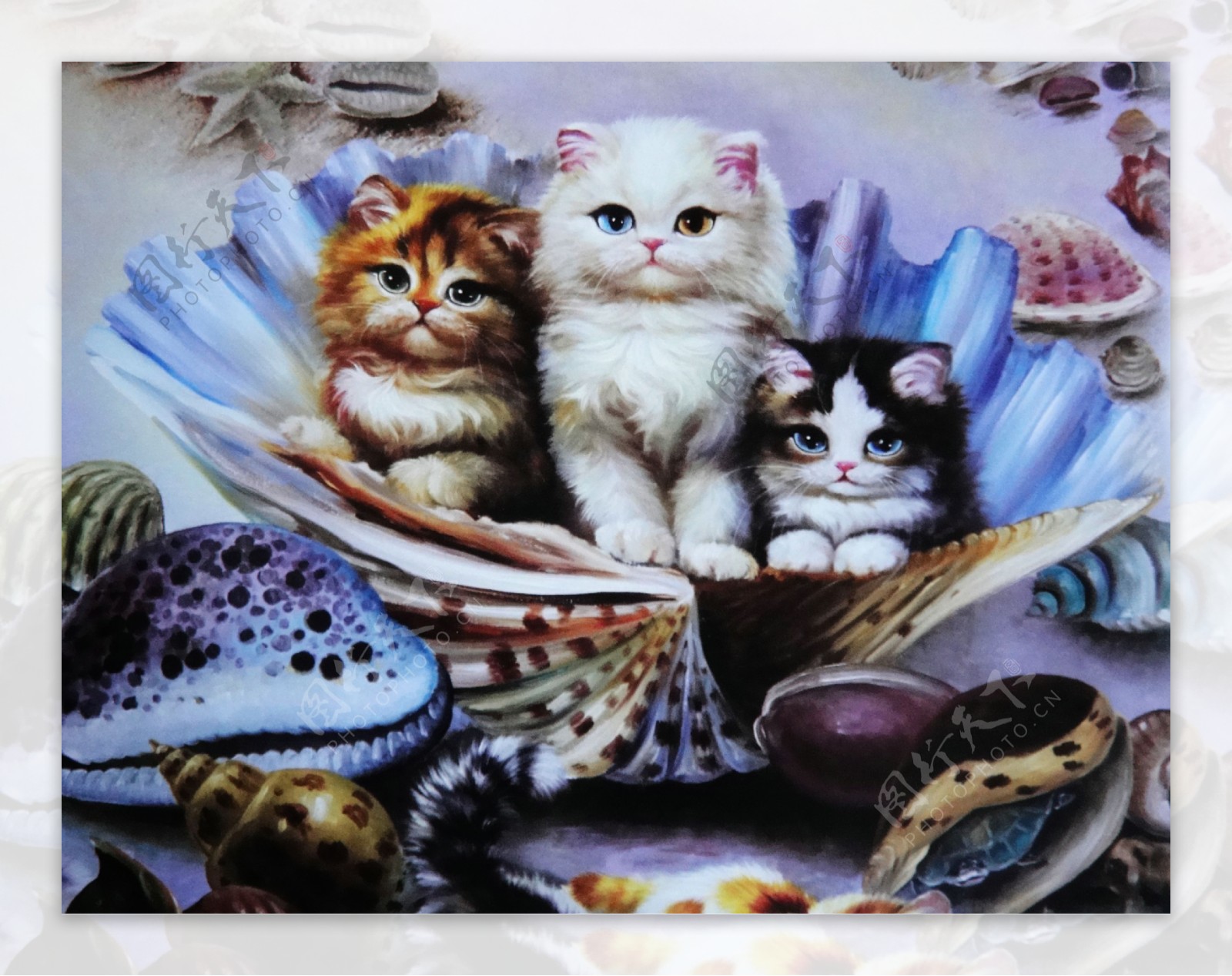 三只猫油画图片