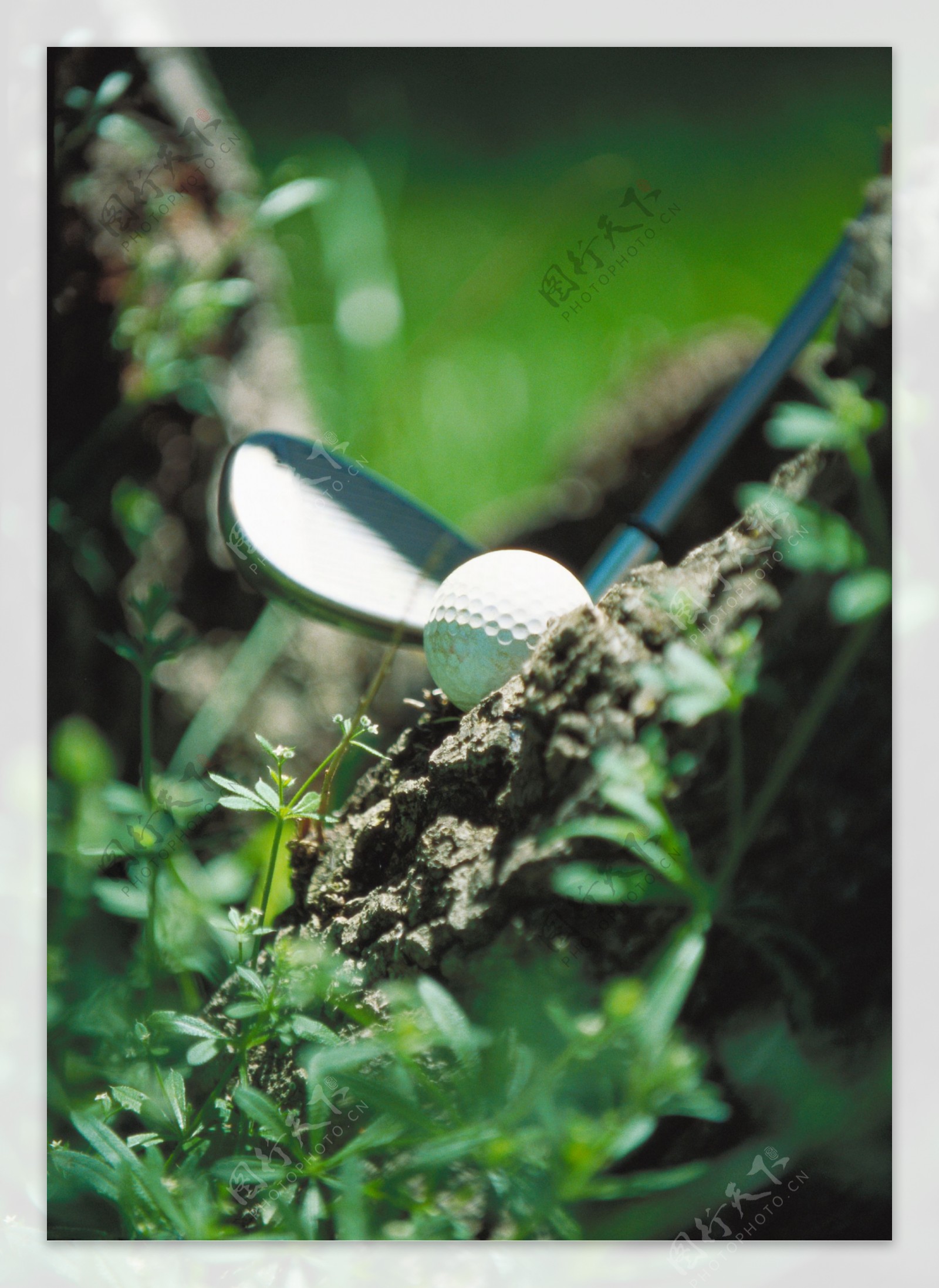 泥土里的高尔夫球用品图片