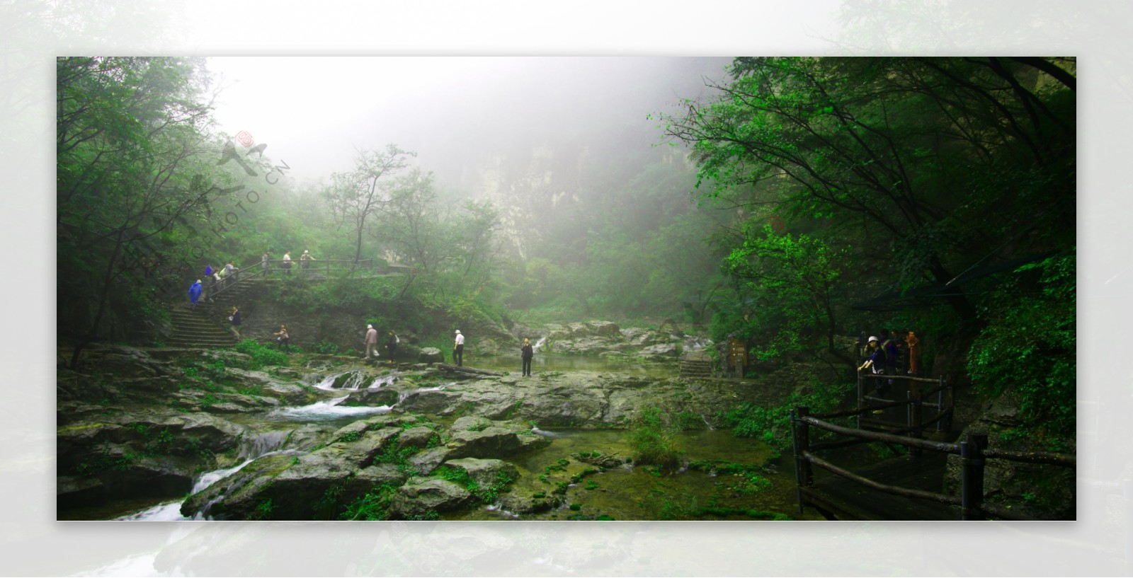 树木小溪风景图片