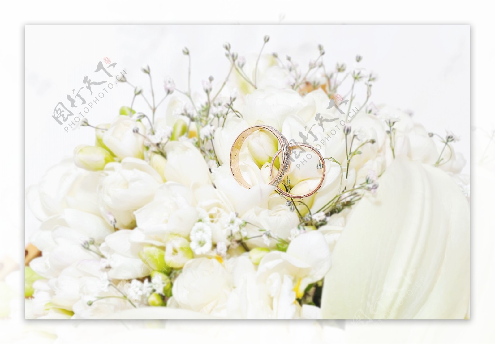 白色玫瑰花与结婚对戒图片