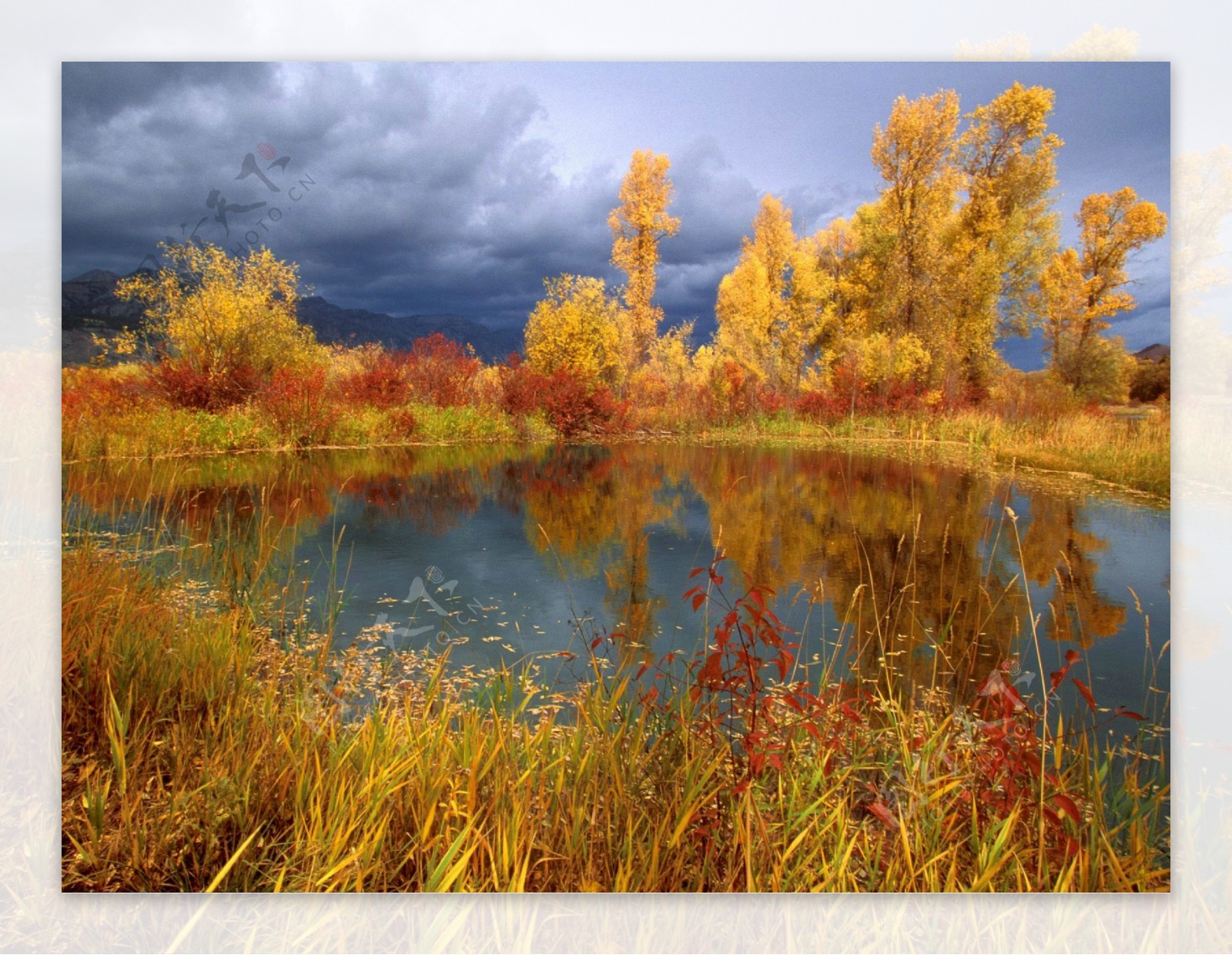 秋天树木与湖泊风景图片