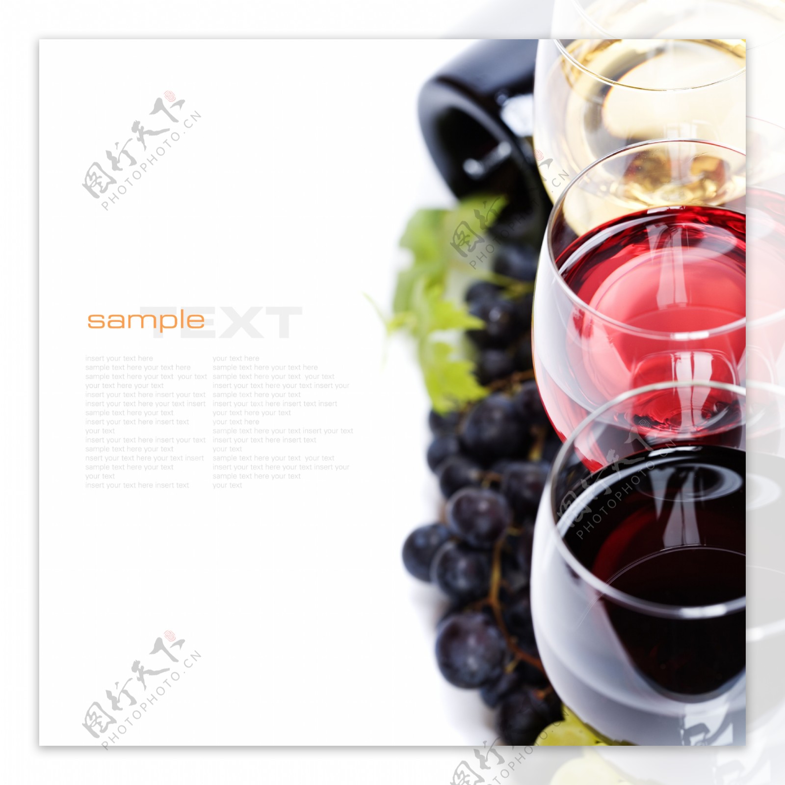 葡萄酒页面设计图片图片