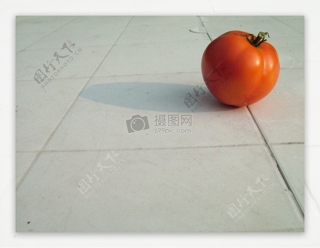 地面上的番茄