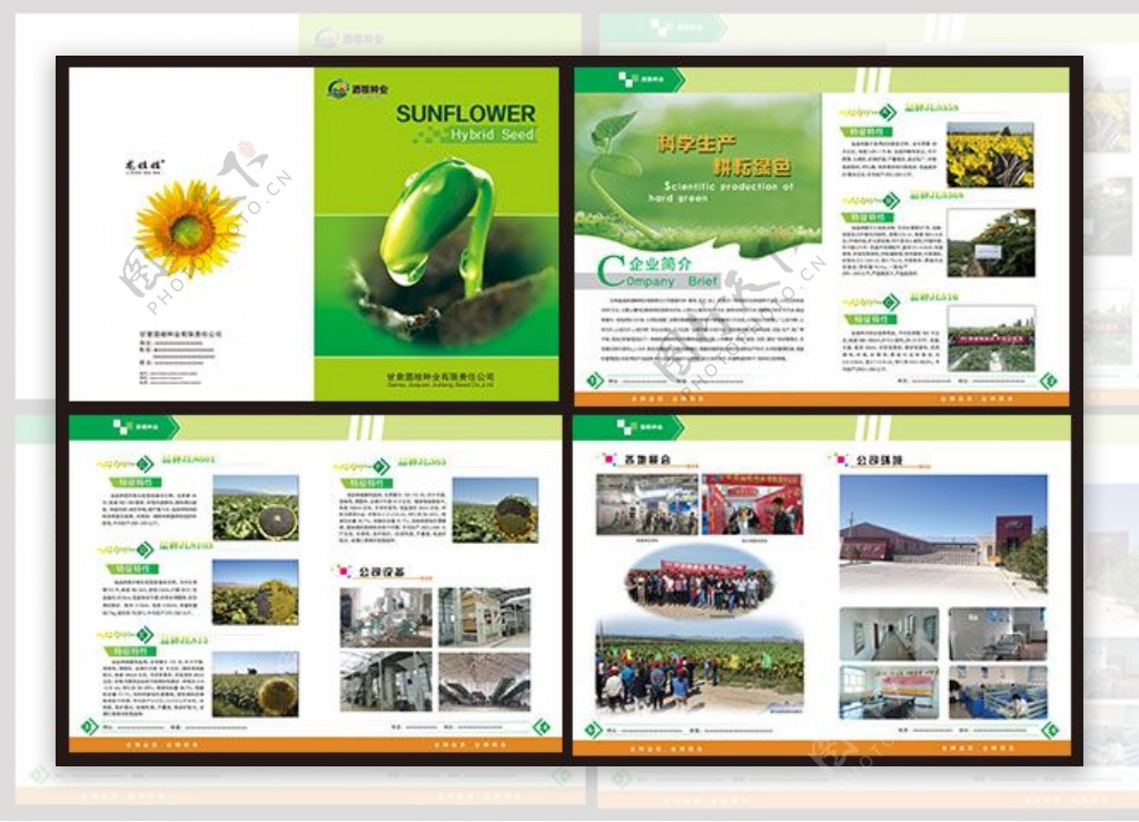 绿色种子企业画册设计模板PSD素材下载