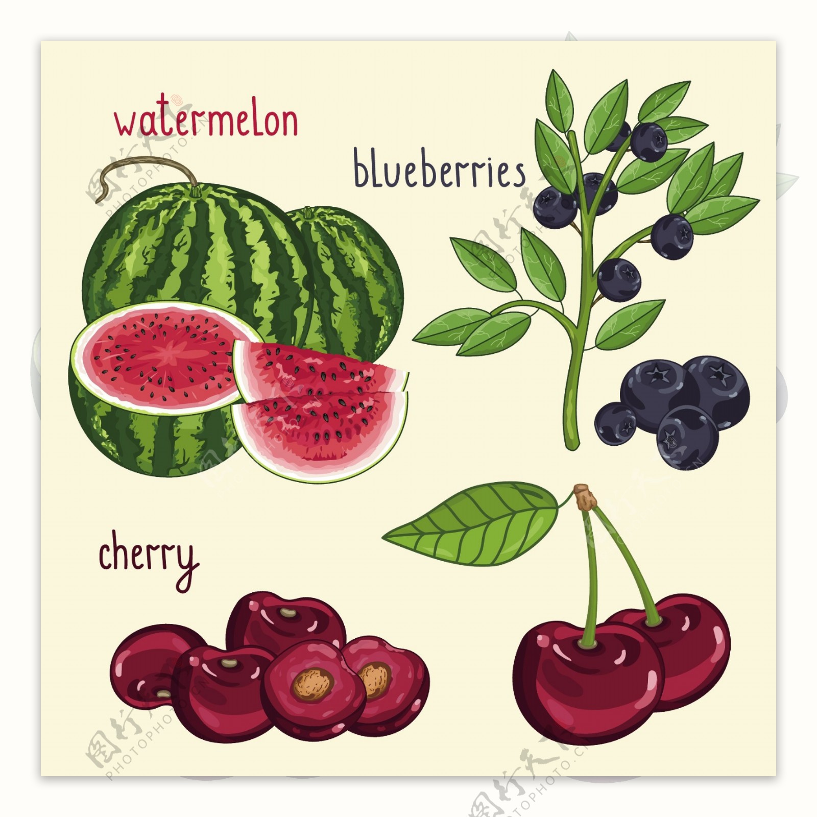 水果蓝莓西瓜樱桃彩绘矢量图