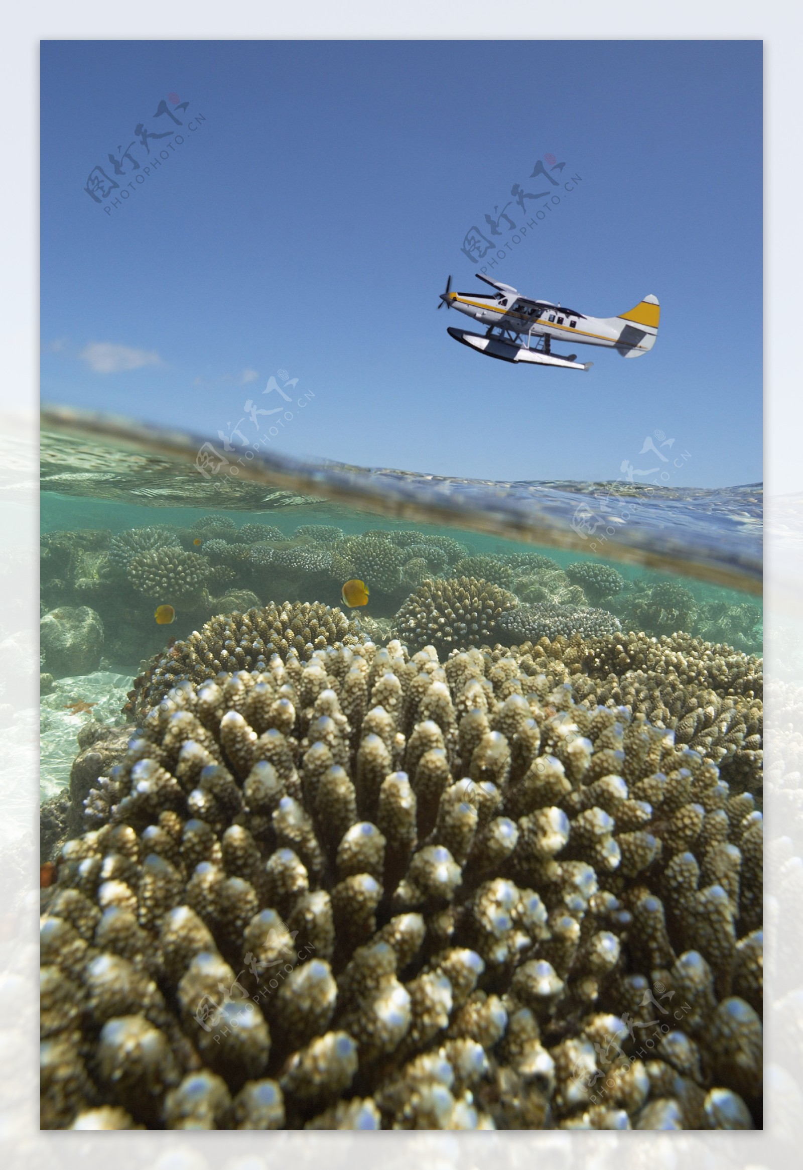 海礁高清大图图片图片