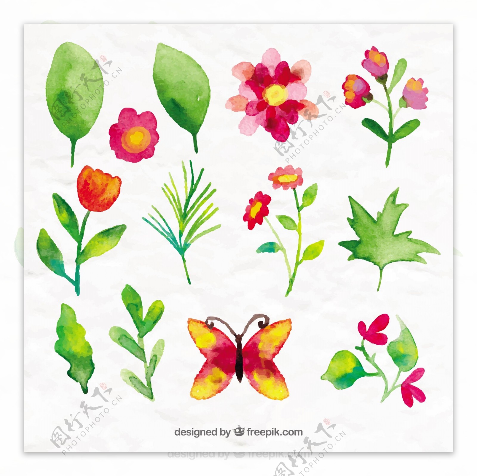 水彩画与蝴蝶美丽的花和叶子