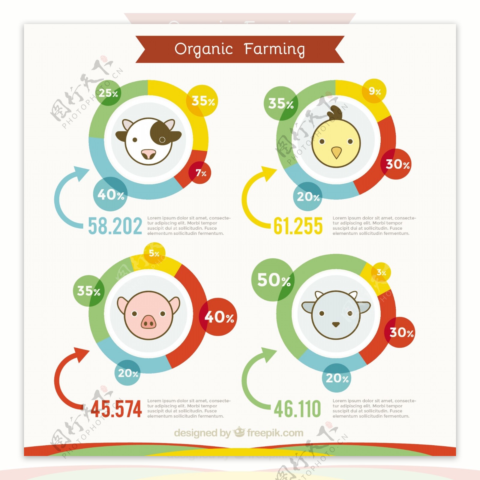 动物可爱的有机农业infography
