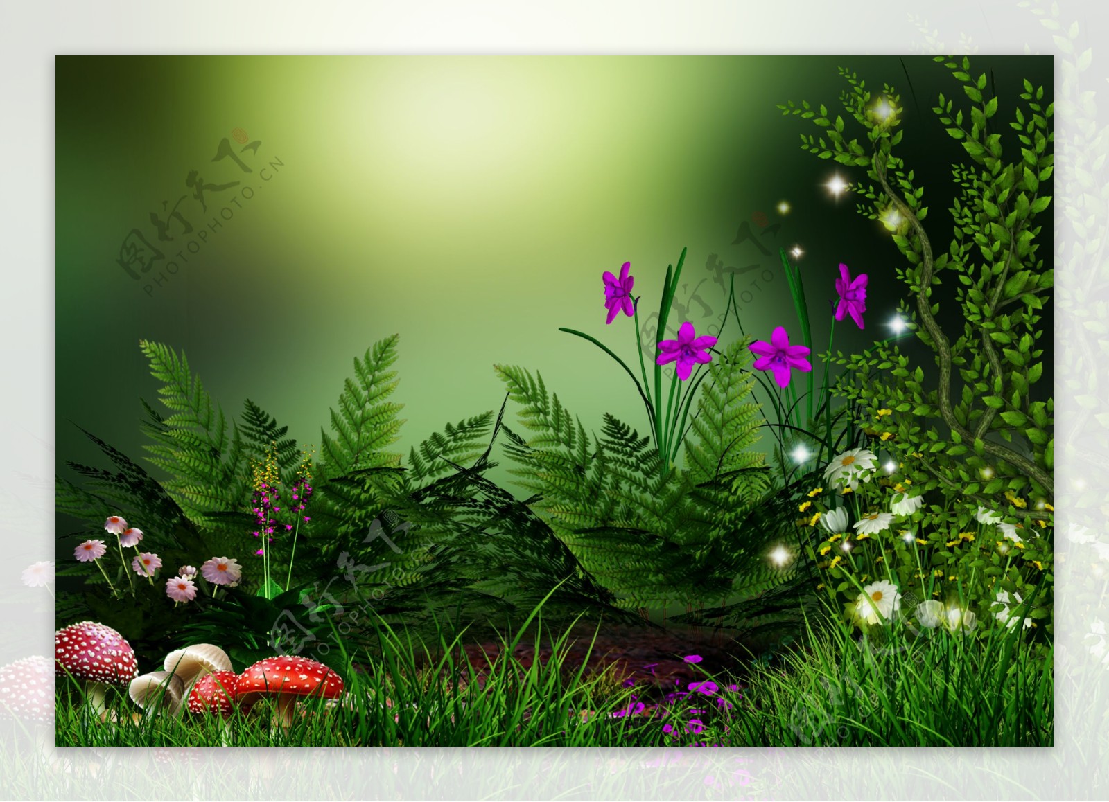 蘑菇与鲜花植物风景图片