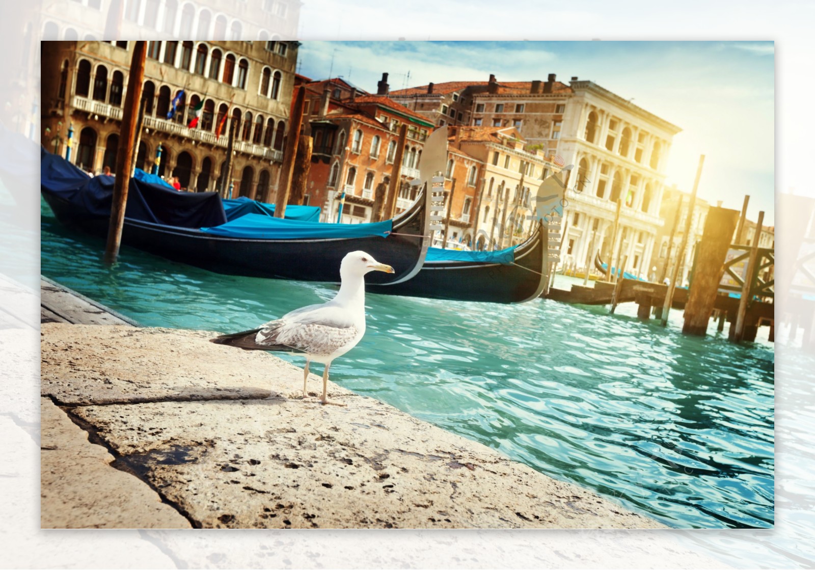 威尼斯的船和建筑景色图片