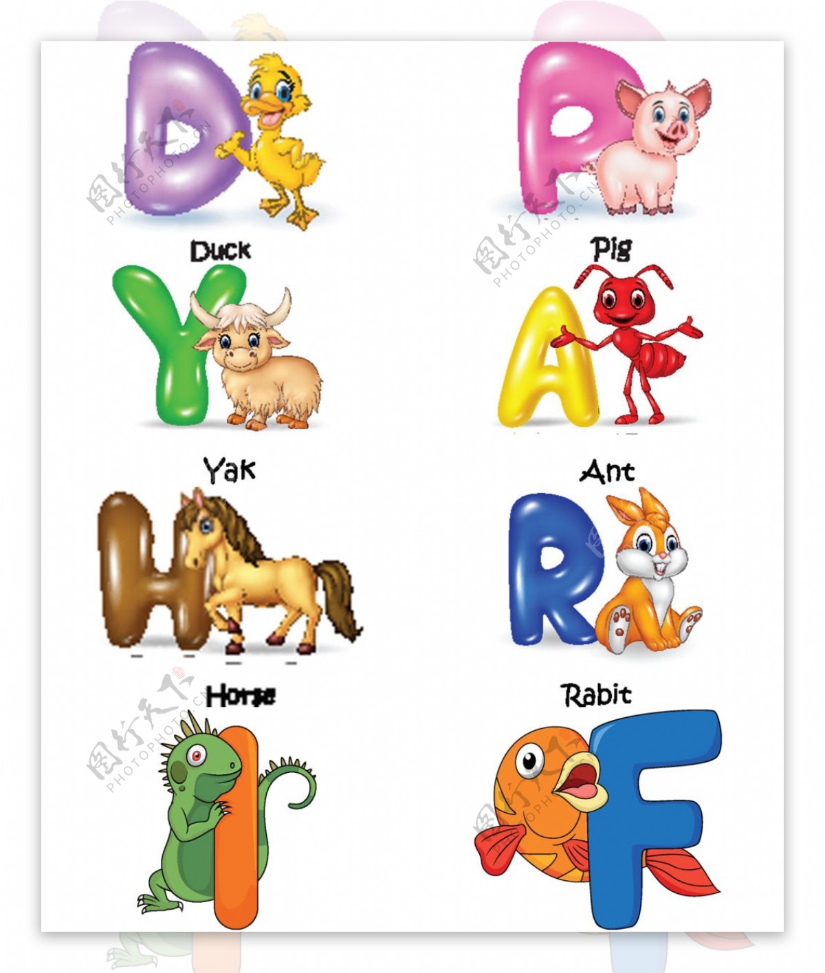 动物和字母