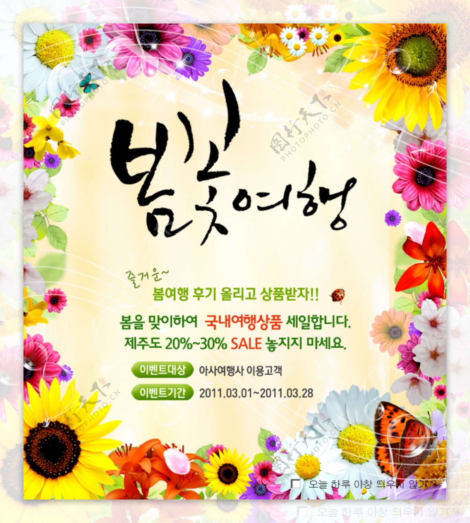 韩式风格花卉网站海报