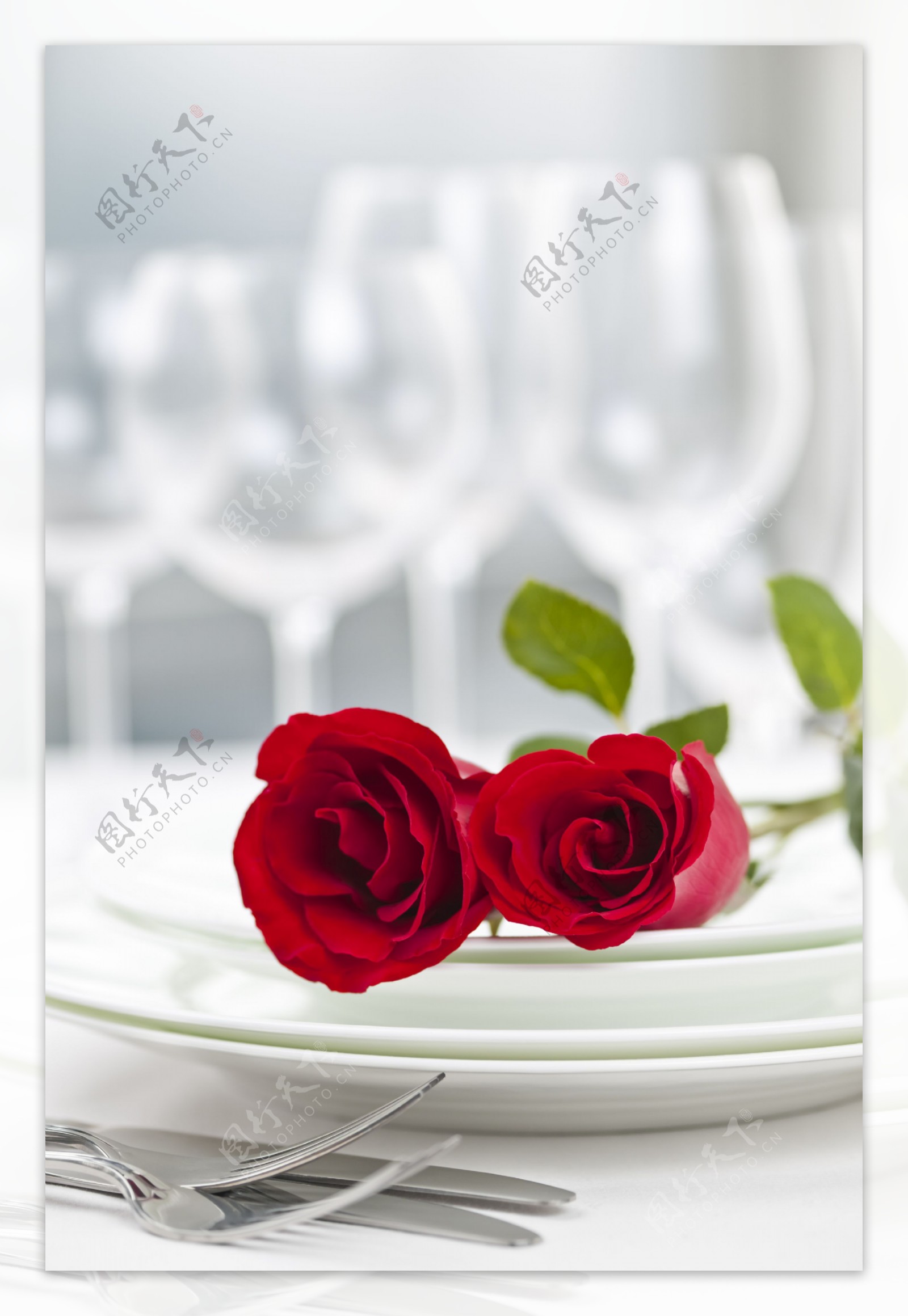 餐具里的红玫瑰图片