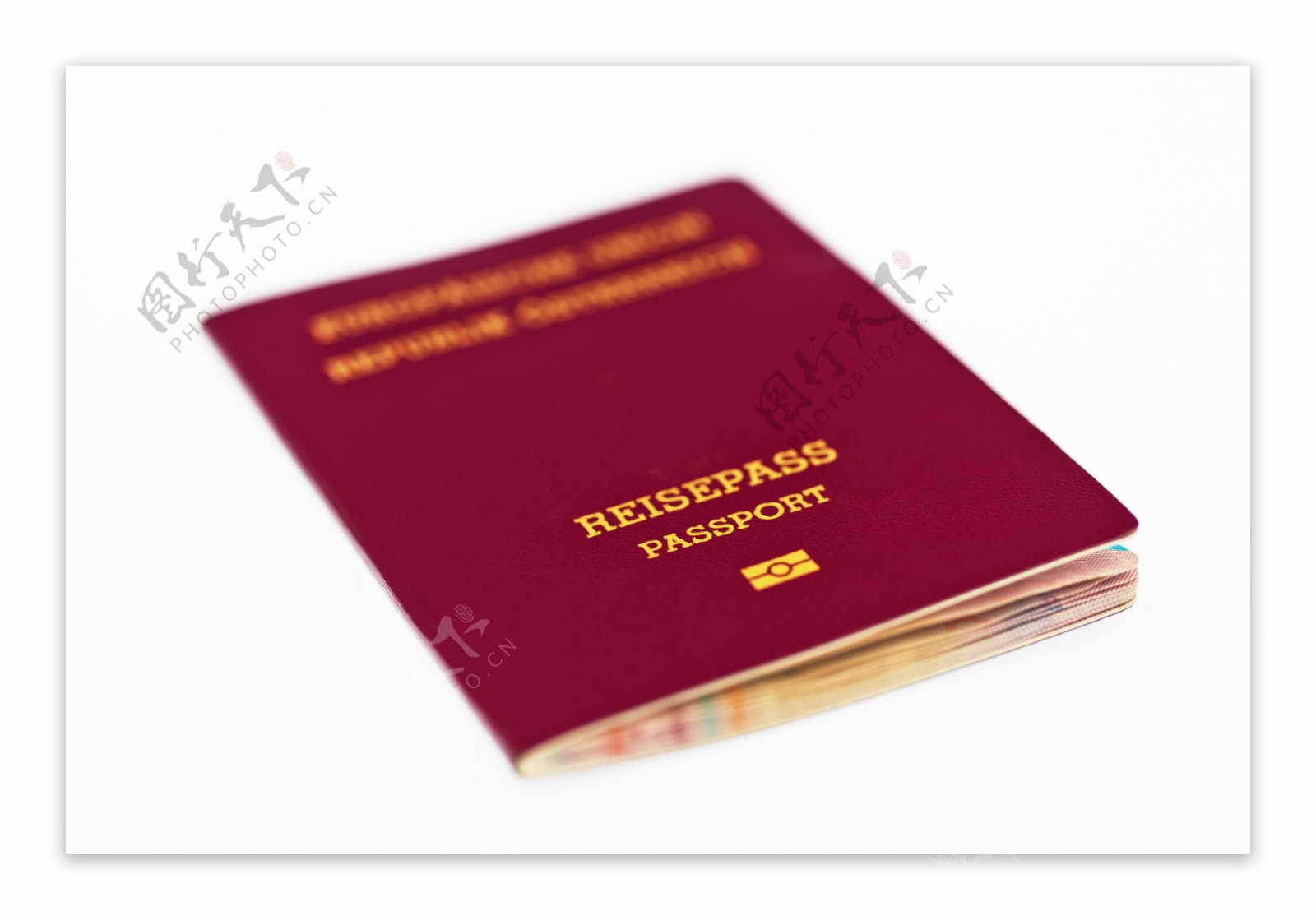 护照本图片