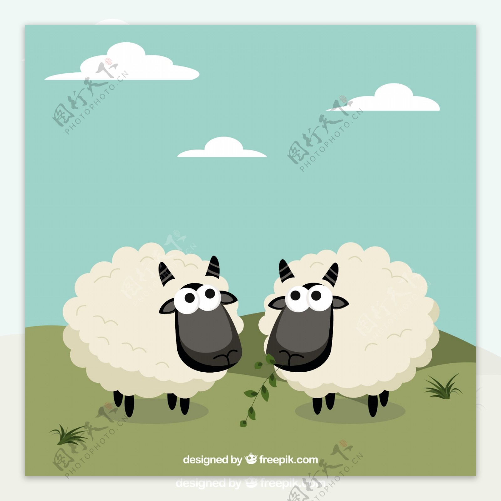 可爱的卡通风格的绵羊