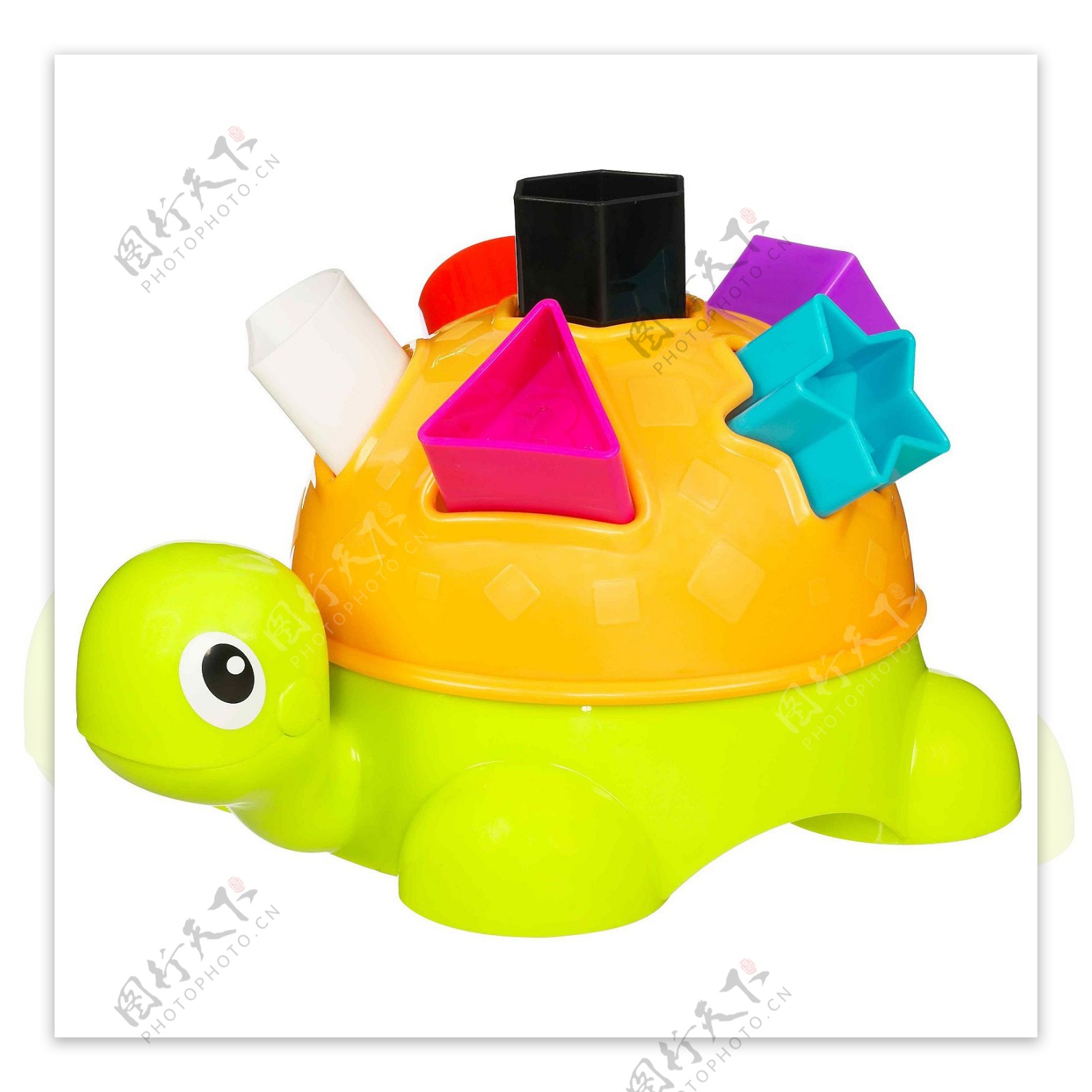 可爱的乌龟玩具图片