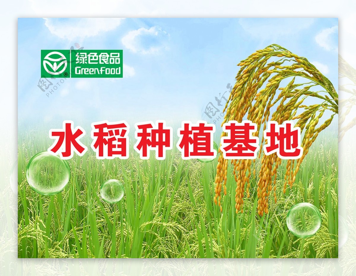 水稻种植基地海报