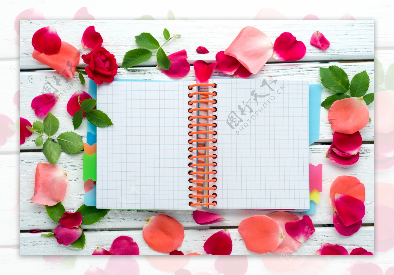 笔记本与玫瑰花瓣图片