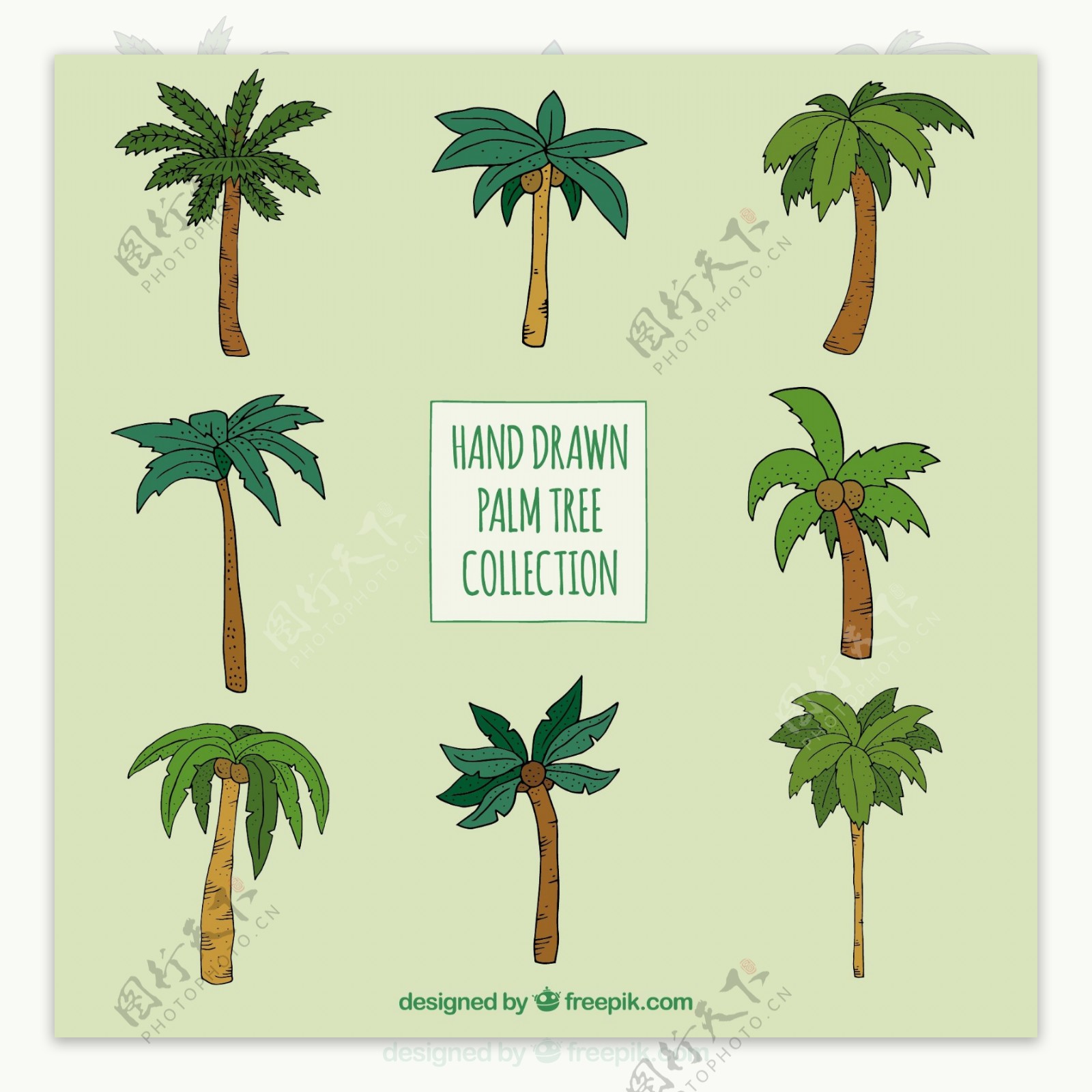 各种形状绿色手绘棕榈树矢量设计素材