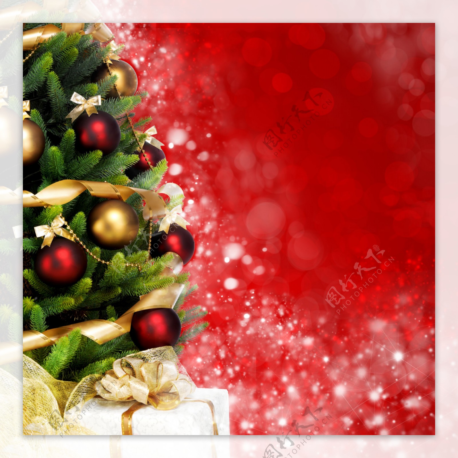 漂亮圣诞树与红色背景图片