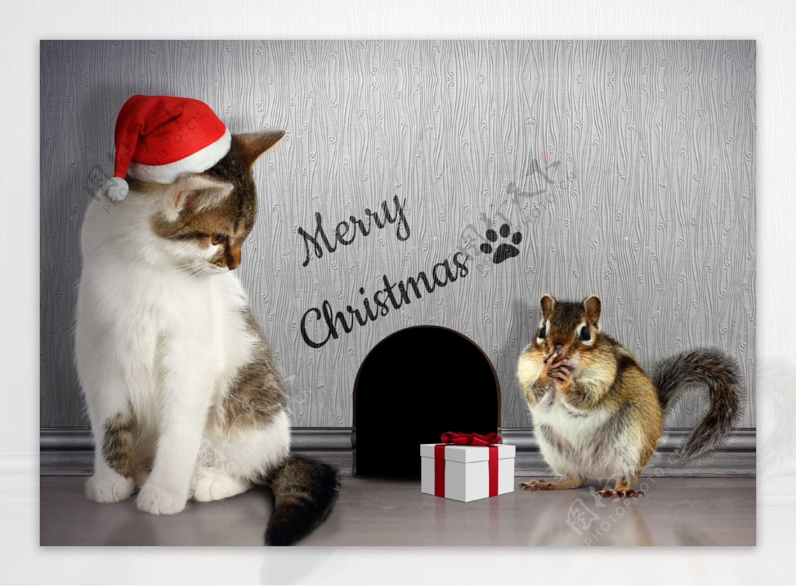 圣诞节猫和老鼠图片