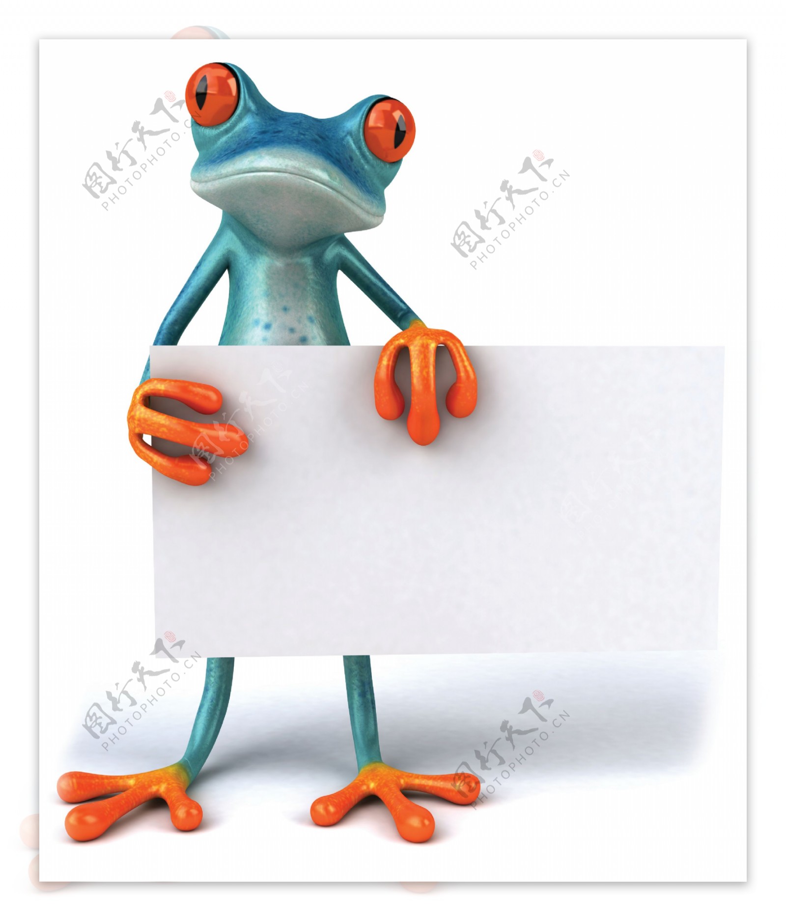 手拿广告牌的青蛙图片
