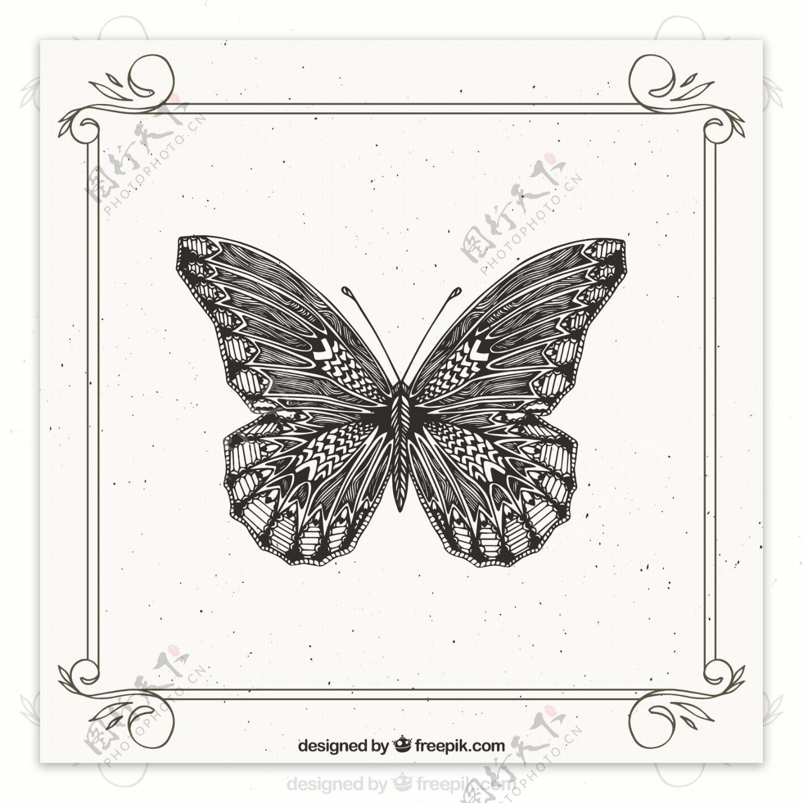 手绘装饰的蝴蝶