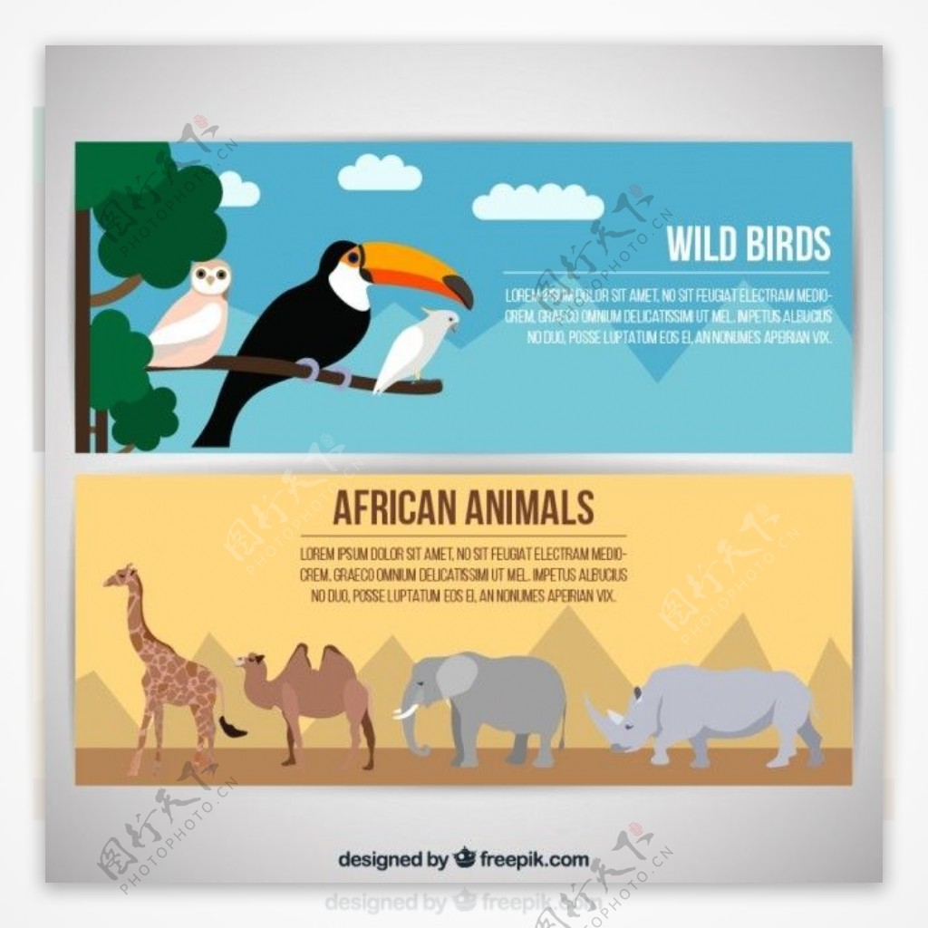 非洲动物和野生鸟类的旗帜