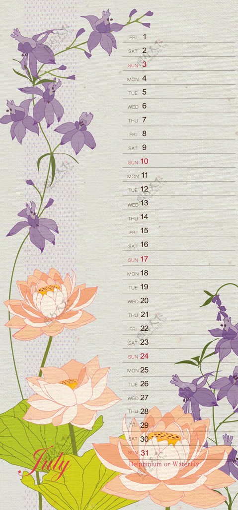 莲花与紫色玉簪花装饰日历模板