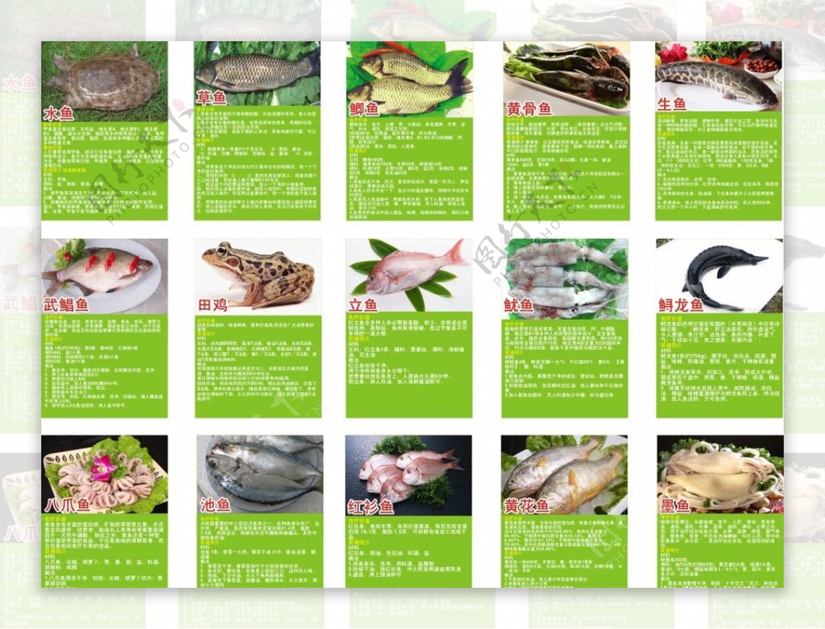 生鲜水产鱼简历与介绍