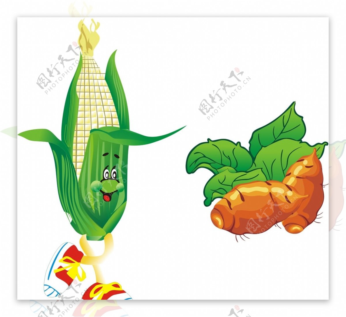 地瓜玉米