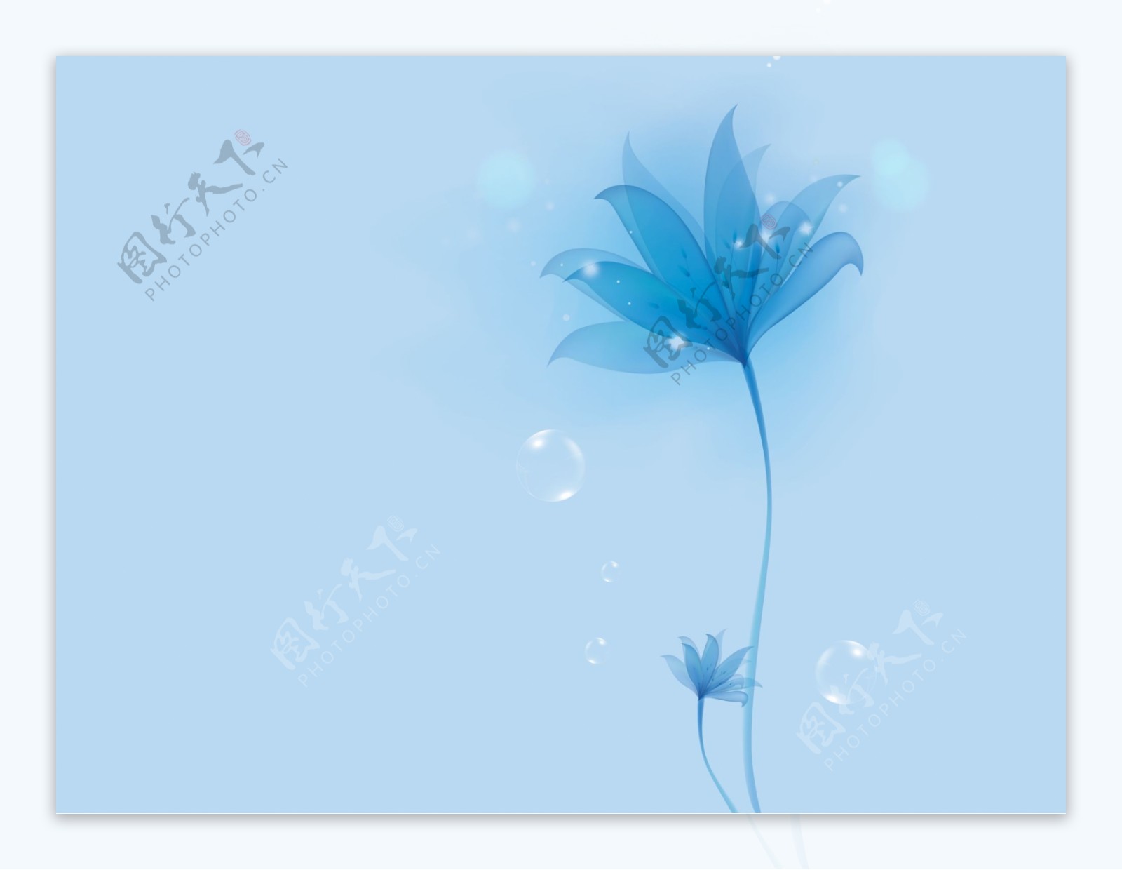 梦幻蓝色花卉背景墙