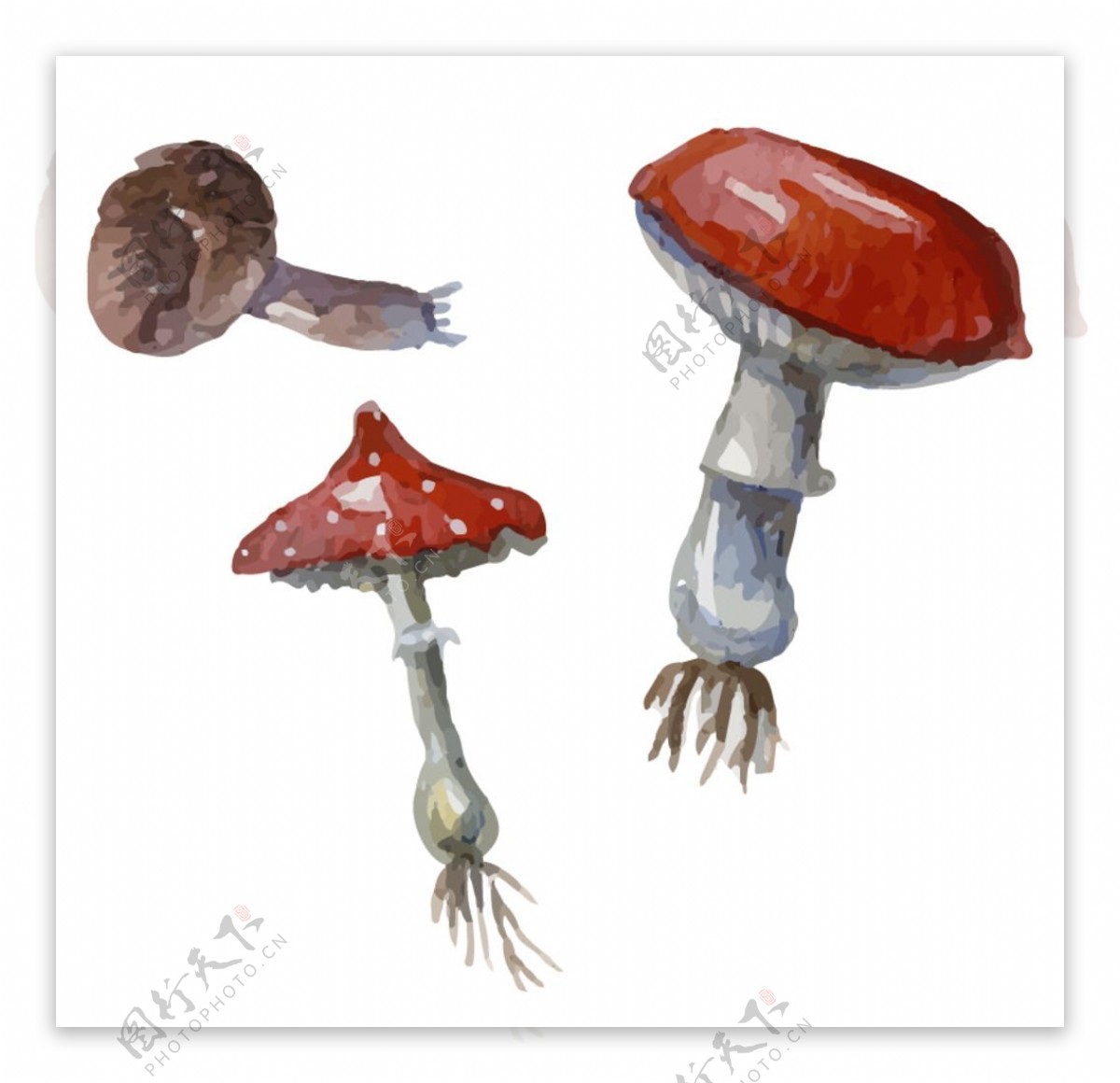 水彩蘑菇矢量素材
