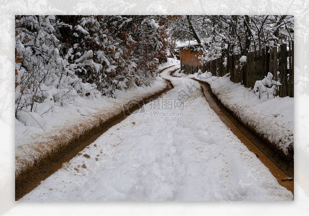被雪覆盖的道路