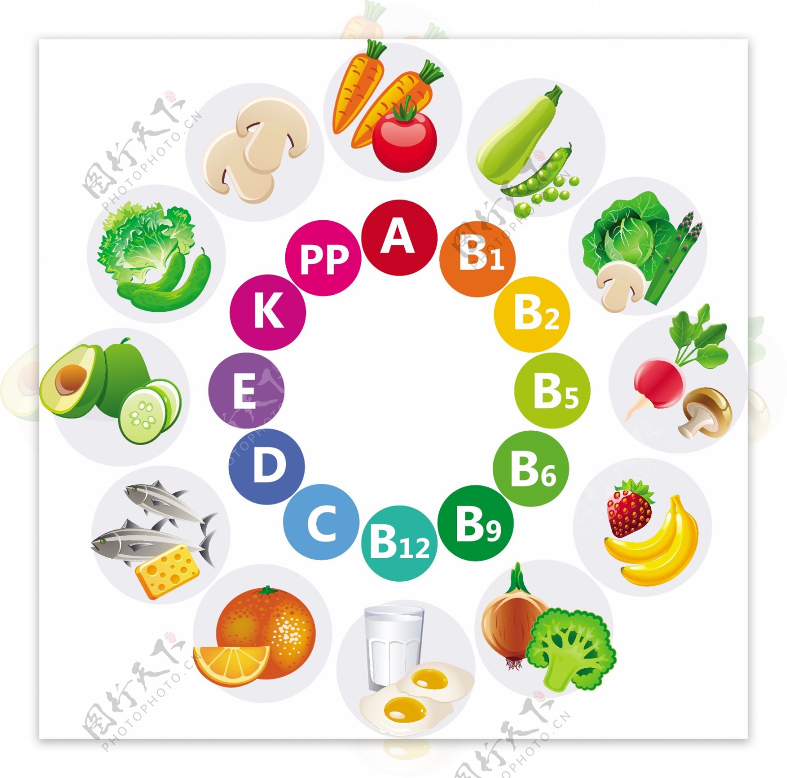 多种蔬菜水果维生素矢量图