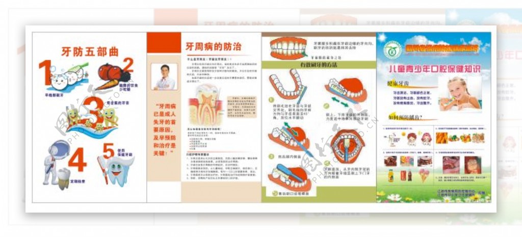 保健所爱牙日宣传