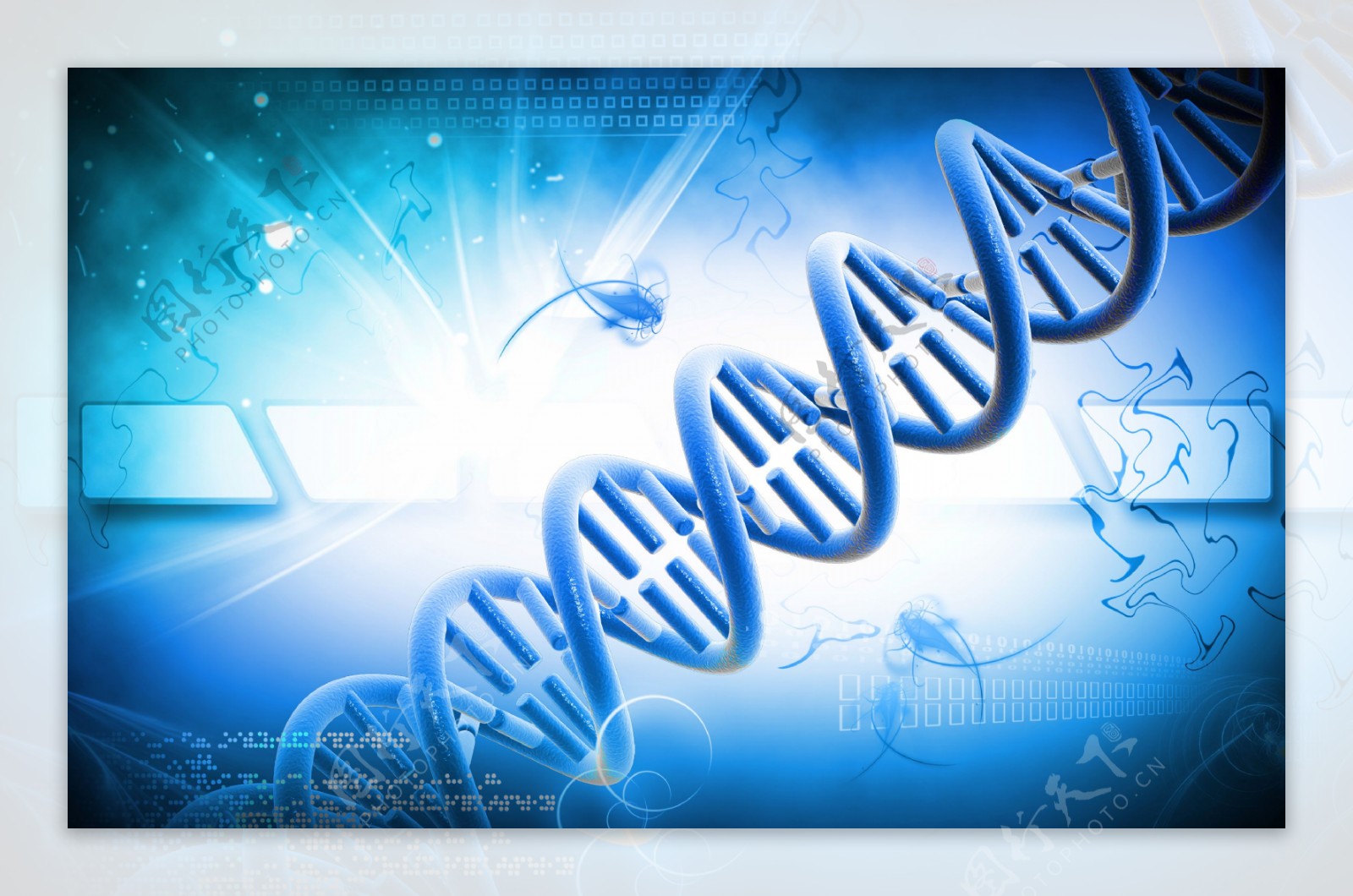 DNA结构背景图片