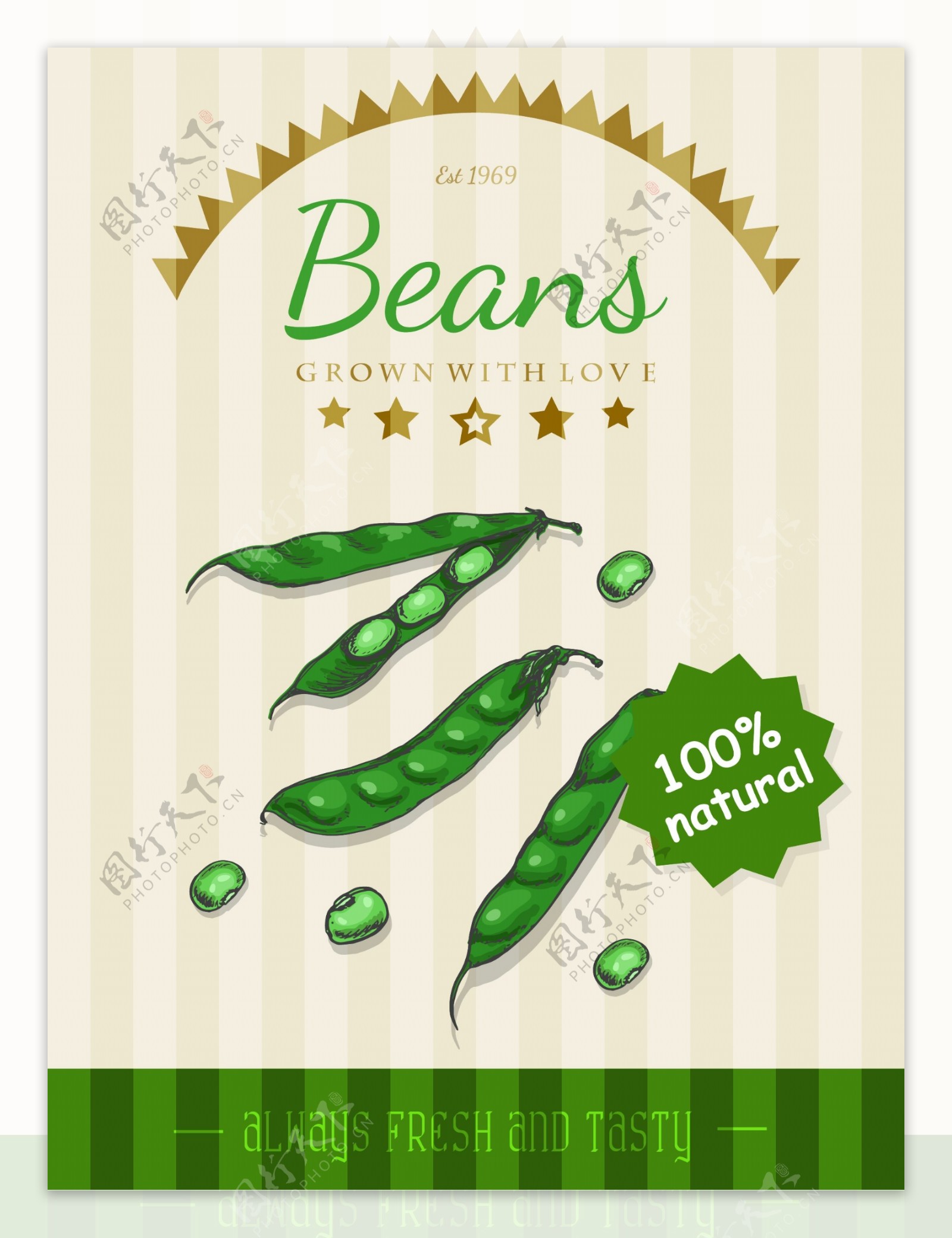 绿色蔬菜豌豆插画