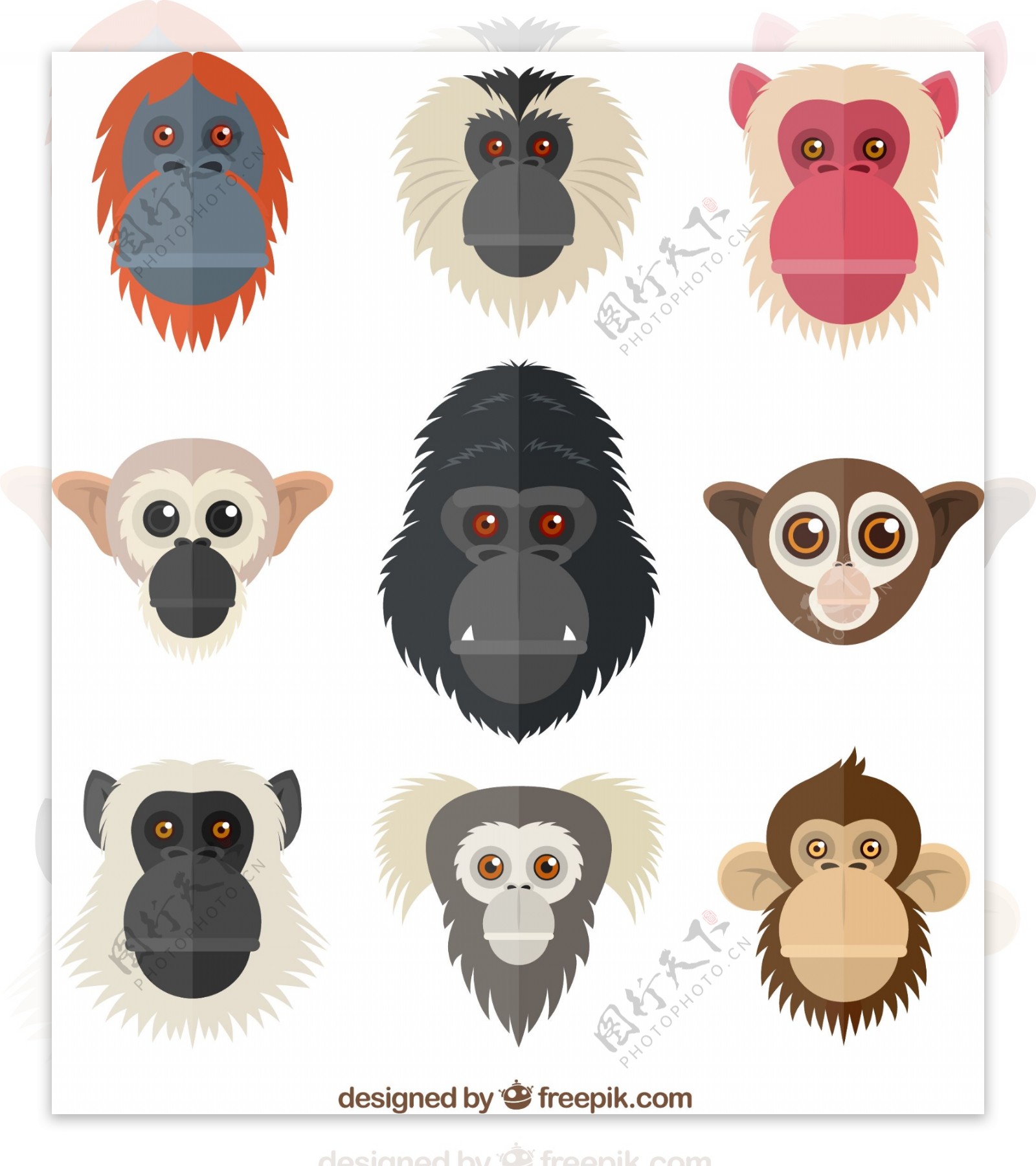 9款创意猴子头像矢量素材