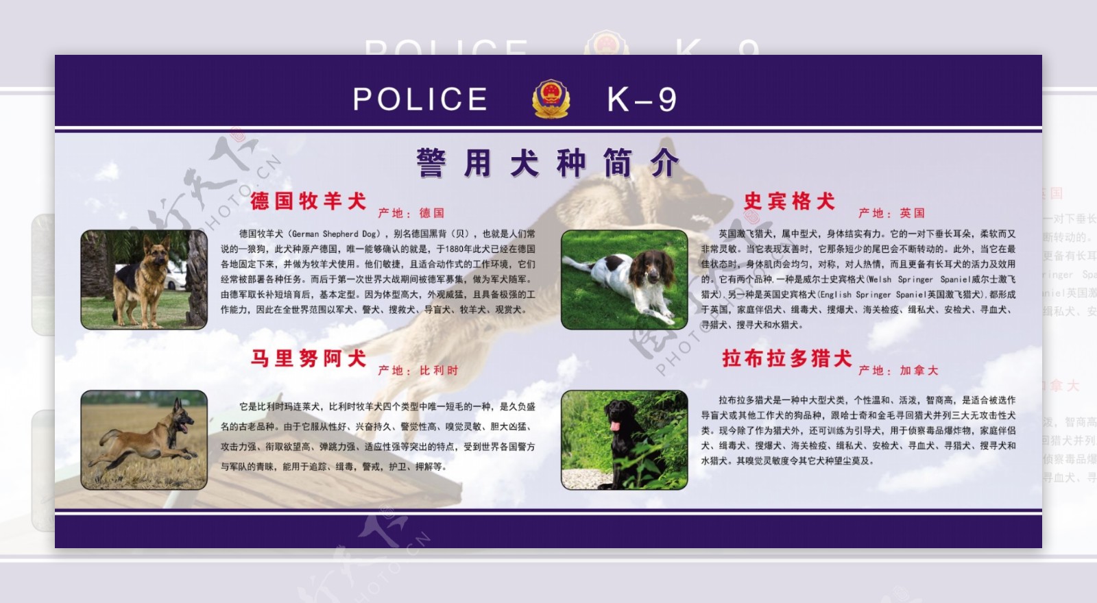 警犬图片