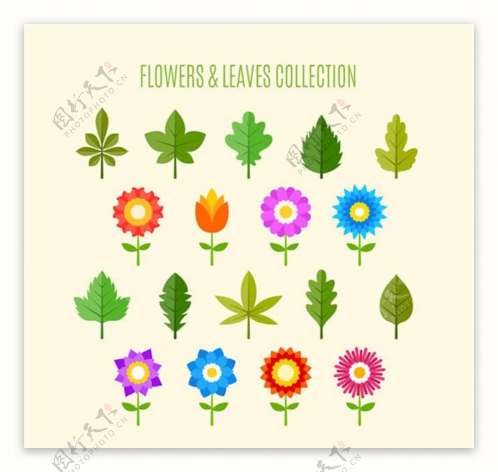 18款花朵和叶子设计矢量图