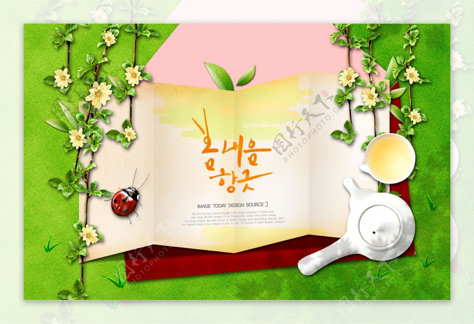 韩国风格绿色花卉插画