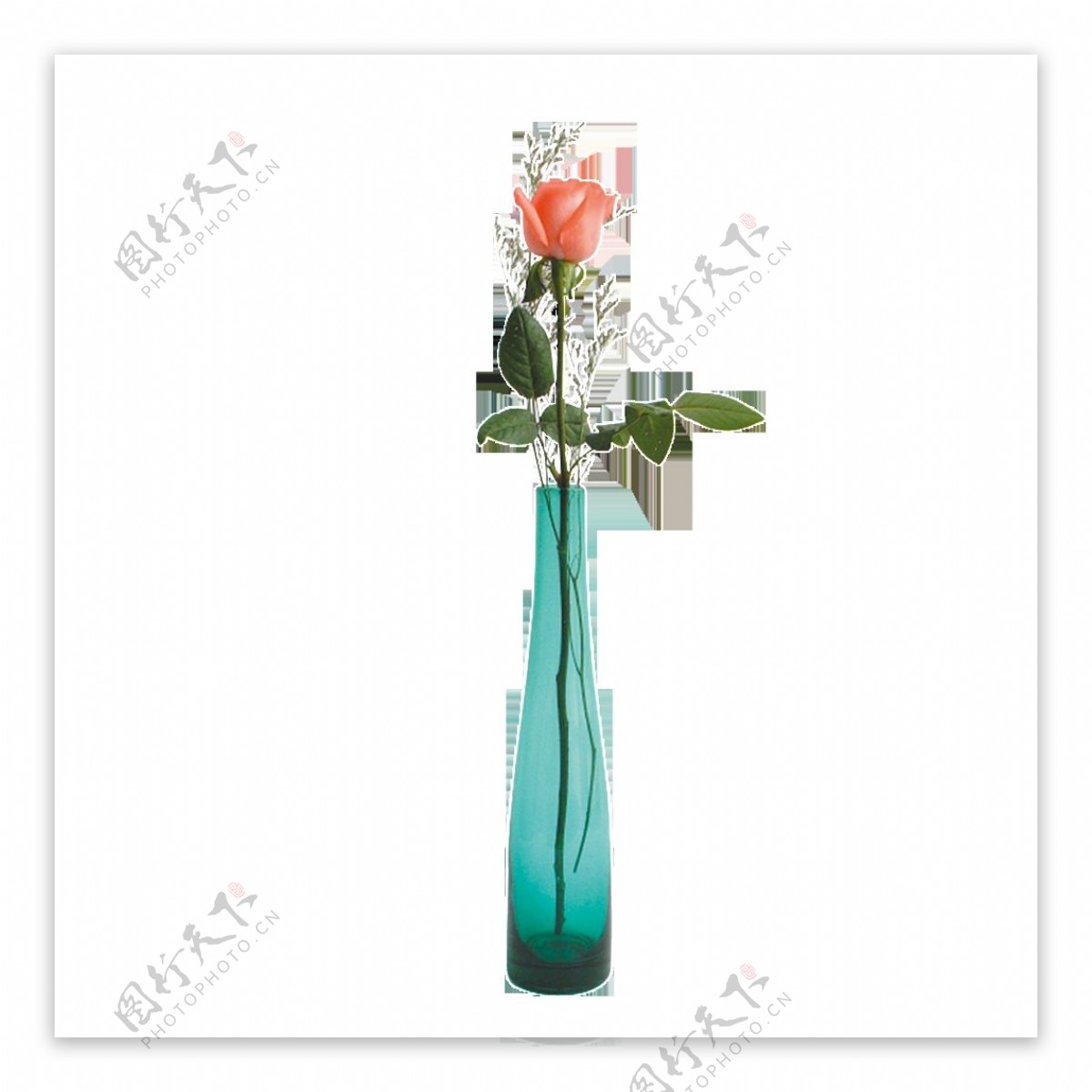 花瓶唯美玫瑰插花素材